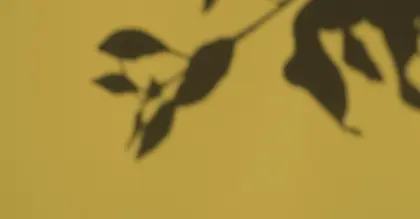 Banner artikel