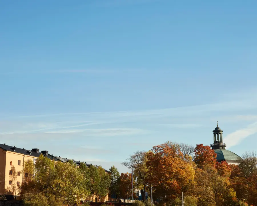 Advokat fastighet entreprenad 01