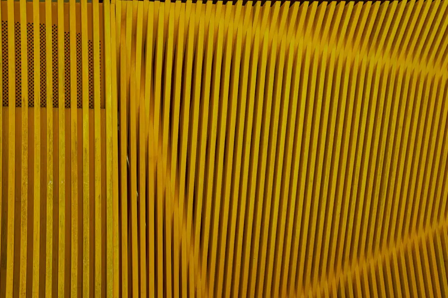 DSC7389