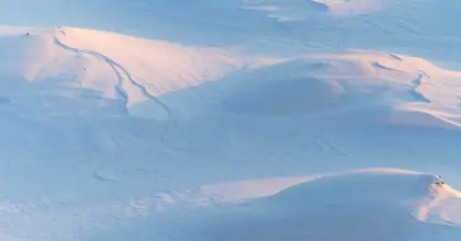 Sno scaled